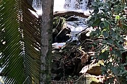 Paradise on Park-Like Estate