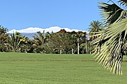 Paradise on Park-Like Estate