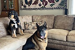 Paradise on Park-Like Estate