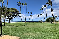 Leinaala Oceanfront #101