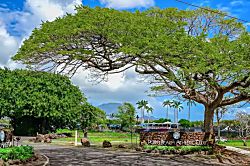 Kiahuna Plantation Top Floor Condo