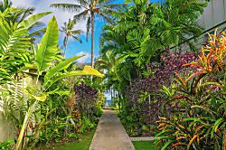 Hale Kai at Kapaa Sands Oceanfront Condo