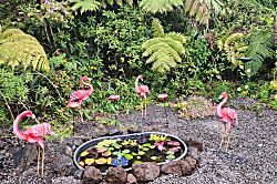 Tropical Oasis Cottage