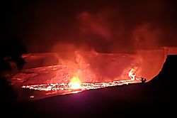 Tropical Oasis Cottage