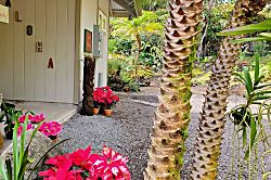 Tropical Oasis Cottage