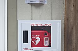 Tropical Oasis Cottage