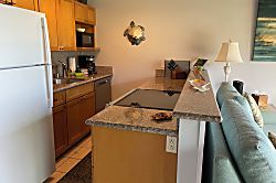 Hoyochi Nikko Unit 209