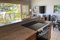 Hoyochi Nikko Unit 209