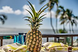 Maalaea Banyons Oceanfront Condo