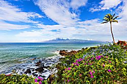 Kuleana Resort 313