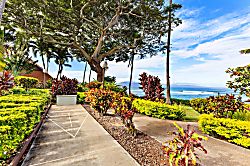 Kuleana Resort 313