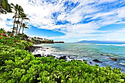 Kuleana Resort 313