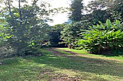 Hana Organic Farm Studio #2