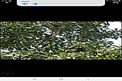 Hana Organic Farm Studio #2