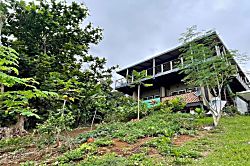 Hana Organic Farm Studio Retreat