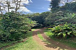 Hana Organic Farm Studio Retreat