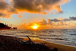 Islander on the Beach 354