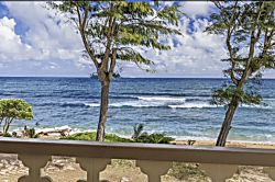 Islander on the Beach 354