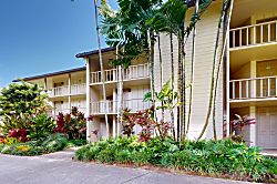 Islander on the Beach 142