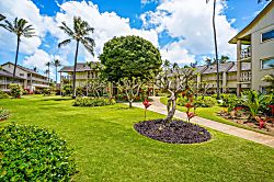 Islander on the Beach 333