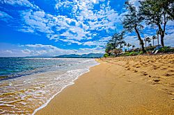 Islander on the Beach 304