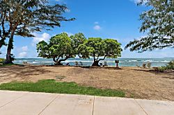 Islander on the Beach 370