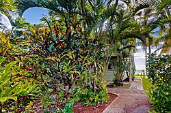 Kapa'a Sands 12 Oceanfront Studio