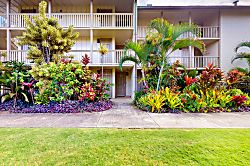 Islander on the Beach 250