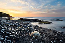 Kaiakea Seaside Retreat