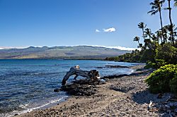 Big Island Hale Ohana