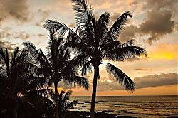 Puako Oceanfront Paradise