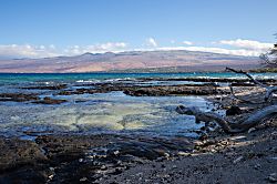 Big Island Blue Makai