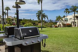 Palms at Wailea 1st Floor Condo