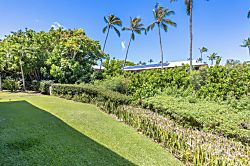 Napili Bay Resort 110