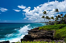 Makahuena Resort 1309