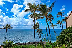 Makahuena Resort 1309