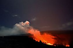 Chic Rainforest Retreat