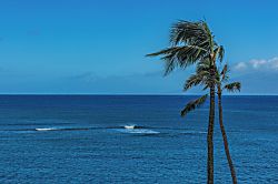Royal Kahana 407