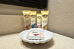 Bamboo Waikiki Studio 802