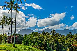 Alii Kai Ground Floor Condo