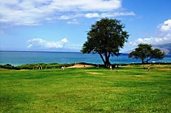 Kamaole Sands #4-301