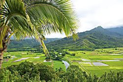 Waipouli Resort & Spa Condo