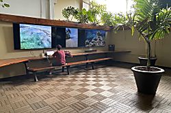 Waikiki Ocean View Studio 20th Floor