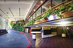 Waikiki Ocean View Studio 20th Floor