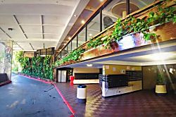 Waikiki Ocean View Studio 20th Floor