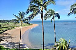 Tropical Kihei Resort Unit #69