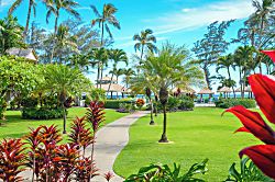 Islander on the Beach 254