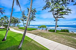 Islander on the Beach 254