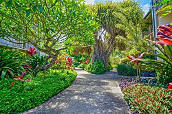 Islander on the Beach 254