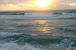 Islander on the Beach 254